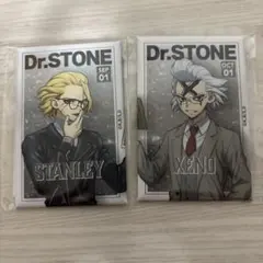 マ*ロ様 Dr.STONE くじ 読書の秋 スタンリースナイダー - メルカリ