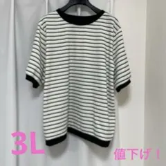 値下げ！しまむら　マルチラメボーダープルオーバー　3L