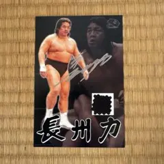天龍源一郎 直筆サイン入り コスチュームカード - メルカリ