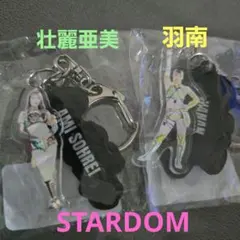 妃南　ツイン アクリル キーホルダー アクキー スターダム 限定 STARDOM ツインアクリルキーホルダー 羽南 壮麗亜美 舞華選手のカード