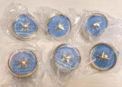 セカライ 桐谷遥 リングライト 6個