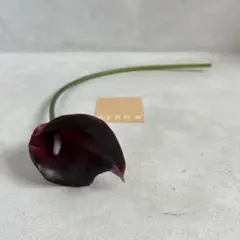 Item thumbnail for item 83542313-ab35-4197-838a-686b38d2dc38