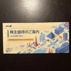 ANAグループ優待券9枚付き冊子　2025年度下期分