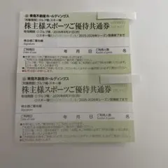 【 2枚 】 スキー場 スノボー リフト券 割引 【 ニセコグランヒラフ 】