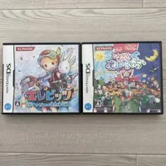 ニンテンドーDS エレビッツ　とんがりボウシと魔法の365にち