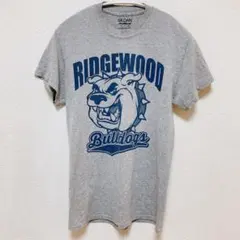 ギルダン 半袖Tシャツ クルーネック ロゴ柄 S 灰色 コットン混 アメカジのサムネイル