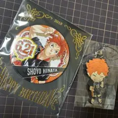 【新品未開封】日向翔陽　バースデー缶バッジ2019&ねんどろラバスト