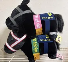 2026年最新】コントレイル bigの人気アイテム - メルカリ