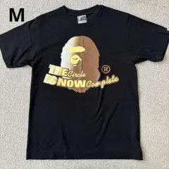 A BATHING APE ビッグロゴT ブラック　M bapeのサムネイル