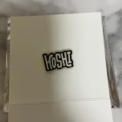 SEVENTEEN HOLIDAY PINS