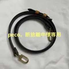 Item thumbnail for item e49ed42a-2e5d-431b-a384-d68fa29ed75d