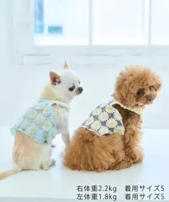 【最終値下げ】XS フラワーキャミ ロペピクニック 犬服