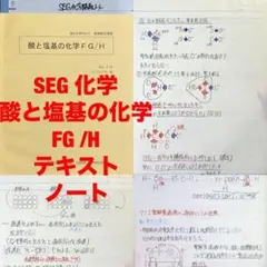 SEG 構造と結合の化学 夏期 鉄緑会 おまけ 全講義ノート - メルカリ