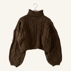 ロイヤルパーティー ニット ブラウン アクリル ケーブル編み オフタートル 短丈