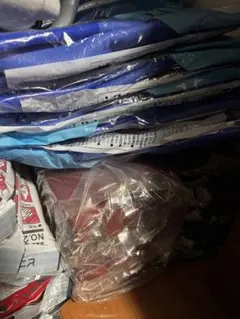 Item thumbnail for item b96f0526-c6e5-43c7-a321-58b42ce21702