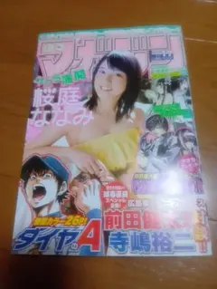 週刊少年マガジン ★平成23年★No.17 桜庭ななみ