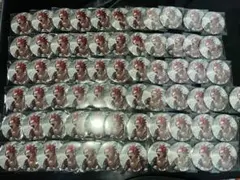 僕のヒーローアカデミア ヒロアカ 原画展 切島鋭児郎 缶バッジ 67個セット