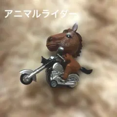 アニマルライダー　動物ライダー　馬