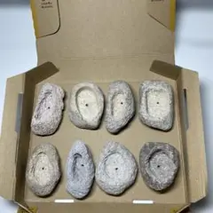 メガネをかけたねこ様 リクエスト 4点 まとめ商品