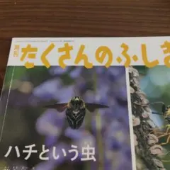 図書館リサイクル本 ハチという虫 2021年6月号 たくさんのふしぎ