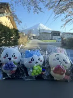 ちいかわ　ご当地限定　ちいかわ　ハチワレ　うさぎコンプリートセット　山梨　ぶどう