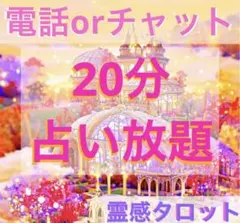 ⭐️電話占いorチャット30分♡霊感タロット占い放題❣️