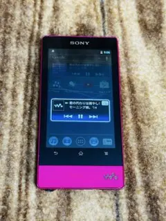 SONY ウォークマン NW-F805 本体