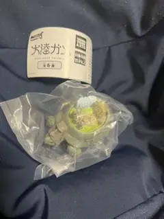 Item thumbnail for item c642e08a-99c2-46f1-97c1-3c9b416e45b8