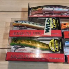 Megabass KAGELOU 100F BLOOWIN! セット - メルカリ