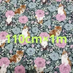 猫ネコ ボタニカル smork blue