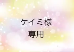 ケイミ様　専用