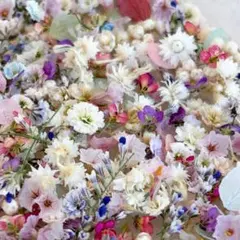 ドライフラワーの小花ミックスセット