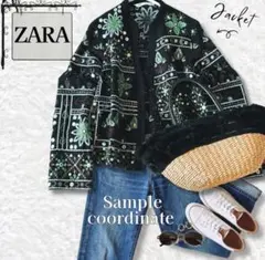【ZARA】ノーカラー ジャケット 刺繍 S ボヘミアン 総柄 花柄 黒 羽織りのサムネイル