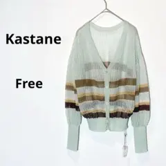 カスタネ 透け感 シアーカーディガン ボーダー フリーサイズ ミントグリーン系