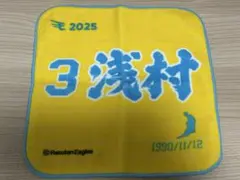 Item thumbnail for item 736d9972-2fd9-471c-b820-f25aab660fc2