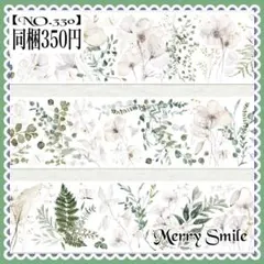 海外 人物マステ中古82 90年代 90s スケートラグス アメリカ製 スケートボード