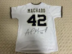オリックスバファローズ マチャド 直筆サイン入りユニフォーム L