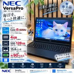 i7搭載 VersaPro メモリ8GB SSD128GB HDD500GB - メルカリ