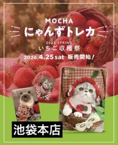 池袋本店】猫カフェmocha 2026春トレカ - メルカリ