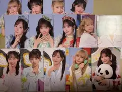 FRUITS ZIPPER ポストカード 14枚