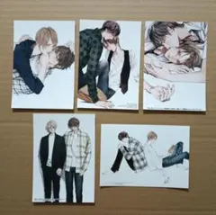 特典「美しい彼 シリーズ」ホーリンラブブックス限定 ブロマイド（全５種）