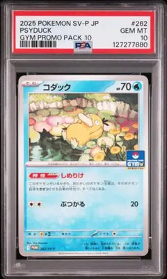 【PSA10】コダック　しめりけ　ジムプロモ　262/SV-P