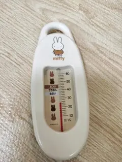 Item thumbnail for item 75c7fa90-7d57-4815-a93d-b20a28b0ac9f