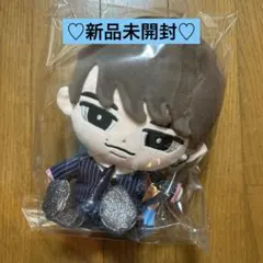 Snow Man 渡辺翔太 すのチル ぶらさがらないシリーズ BIGぬいぐるみ