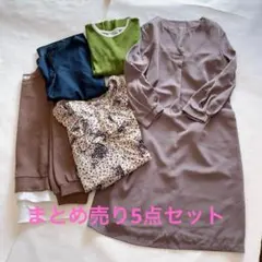 レディースまとめ売り【L/フリーサイズ5点】トップス/ワンピ　使えるアイテム