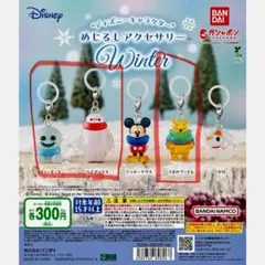 ディズニー めじるしアクセサリー Winter ベイマックス　プー　スノーギース