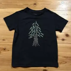 ノースフェイス ミナペルホネン Tシャツ 120