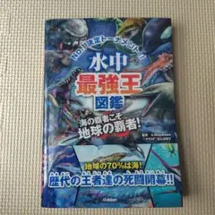 Item thumbnail for item b8640517-fc8c-4c32-ad09-122740d725d4