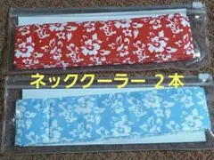 Item thumbnail for item f116b71e-571e-46af-a98f-c533dde7e279