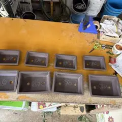 #203常滑焼　盆栽鉢　8個セットのサムネイル